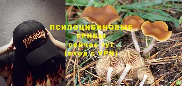 mdpv Ладушкин
