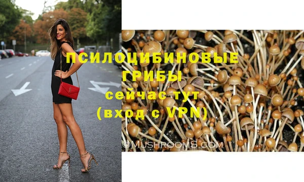 бошки Лабытнанги