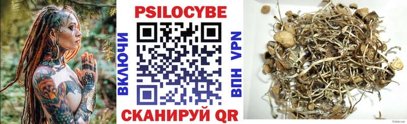 Галлюциногенные грибы Psilocybine cubensis  Купить где  Ступино 