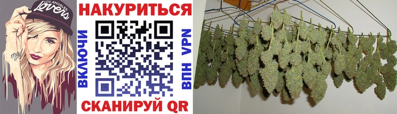 Конопля гибрид Купить закладки Ступино